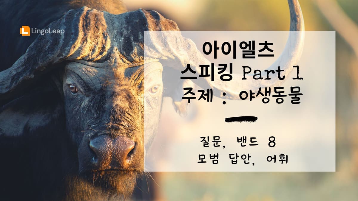 아이엘츠 스피킹 Part 1 야생동물 - 질문, 밴드 8 모범 답안, 어휘